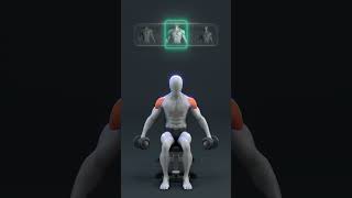 Total Body Gym Routine for Lean Muscle and ControlDELUXESUPPS | Premium Natural Supplements