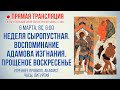 Прямая трансляция. Неделя сыропустная. Воспоминание Адамова изгнания. Прощеное воскресенье 6.3.22 г.