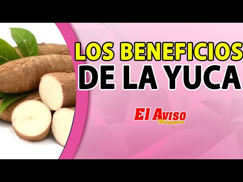 Vídeo: Los Beneficios Para La Salud De La Yuca