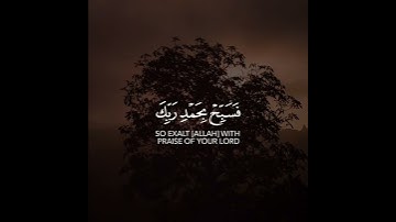 قرآن كريم بصوت القارئ بدر التركي