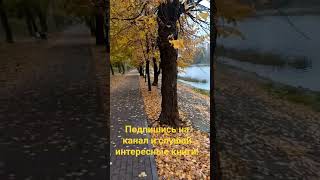 ОСЕНЬ - ВРЕМЯ ТЁПЛЫХ ПЛЕДОВ И ИНТЕРЕСНЫХ ИСТОРИЙ!#слушатьбесплатно #аудиокнига