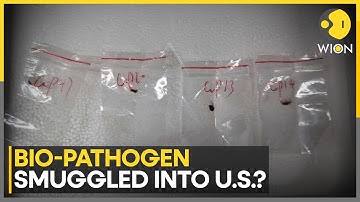 Chinese Nationals Smuggled Bio-Weapon? | World News | WION