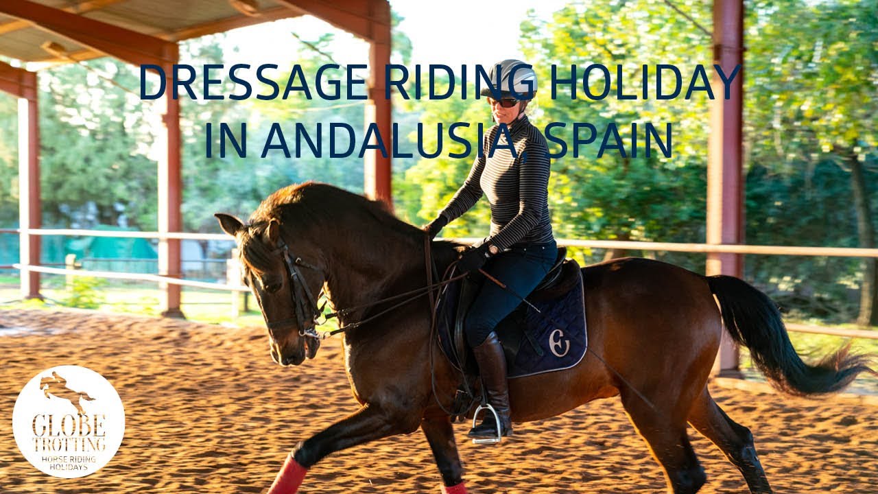 Dressage Ride in Andalusia Horse Riding Holidays in Spain