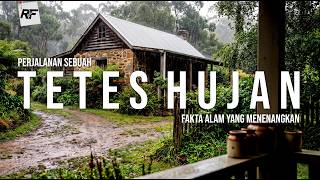 Ternyata Begini Perjalanan Setiap Tetes Hujan | Fakta Menakjubkan Tentang Hujan