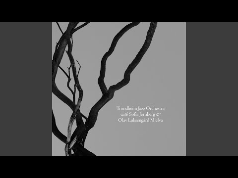 Trondheim Jazz Orchestra, Sofia Jernberg & Olav Luksengard Mjelva - Pols etter Marta-Johannes
