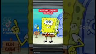 Sora 2 Bypass Method