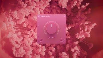 LANDR FX Voice: The Best One Knob Plugin for Pristine Vocals