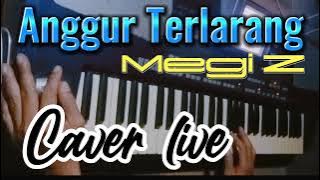 Karaoke Anggur Terlarang MEGI Z || No Liryc || Caver Korg Pa500