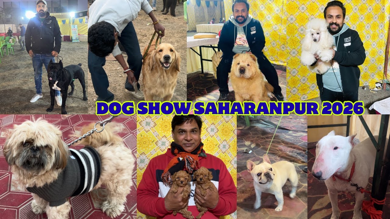 SAHARANPUR DOG SHOW 2026 | Exotic Dog Breeds In Saharanpur🔥 