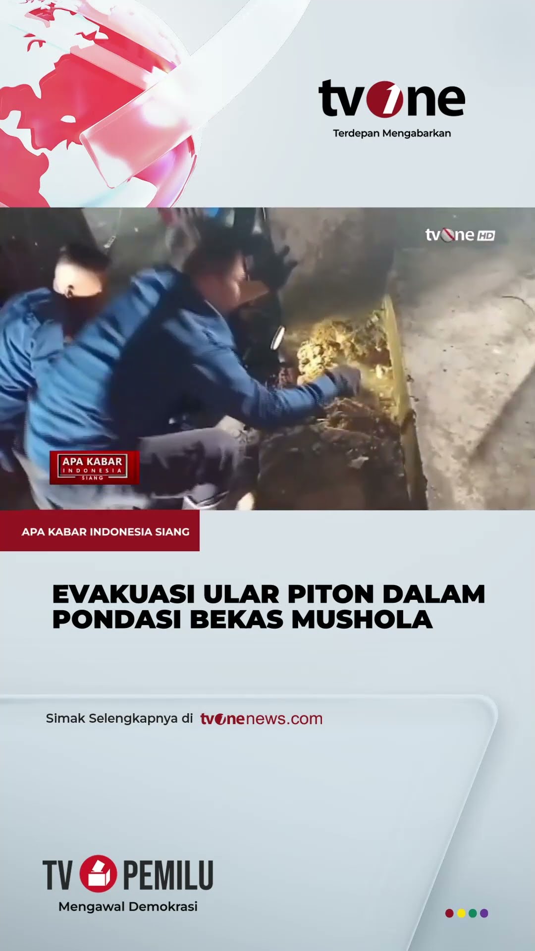 Merinding, Damkar Jambi Evakuasi 16 Anak Ular Piton dari dalam Pondasi | tvOne