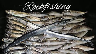 🛑Открыл сезон! сарганы клюют на селикон, первая смарида в этом году, ловля ставриды. "Rockfishing"