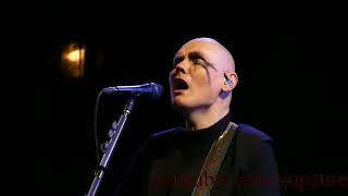 The Smashing Pumpkins - Thirty Three - Live HD (Wells Fargo Center)