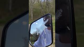 Квадроцикл дали покататься #адыгея #квадроцикл