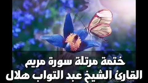 سورة مريم بصوت حزين ومؤثر القارئ الشيخ عبد التواب هلال