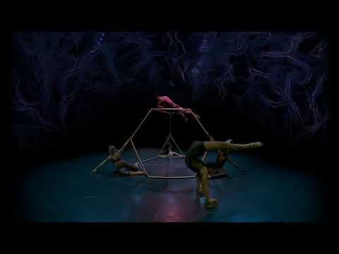 Into the Neural Forest VR180
