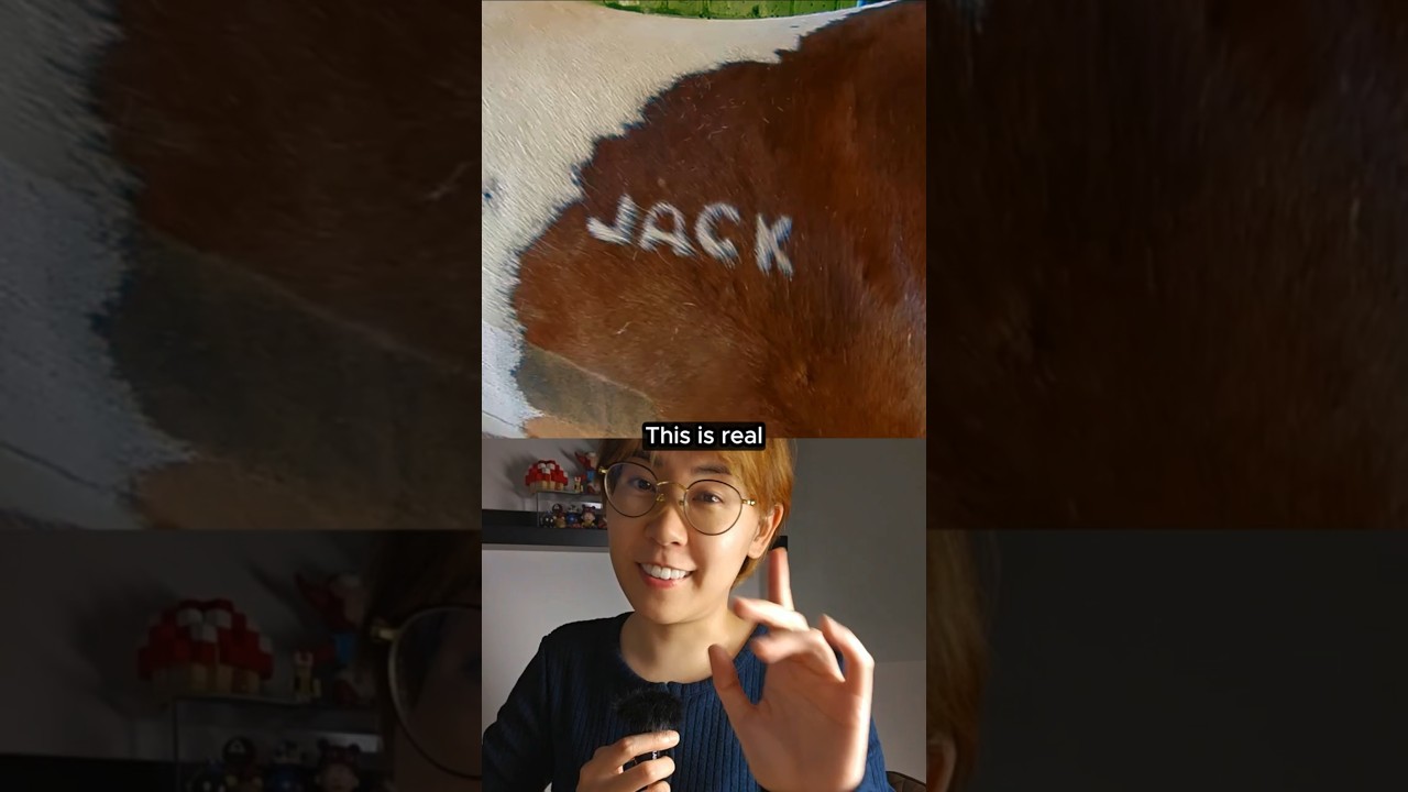 Why Do Horses Get White Marks Like This?