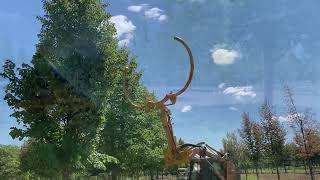 96 inch Manual Tree Tyer by DutchmanIndustries 547 views 1 year ago 2 minutes, 32 seconds