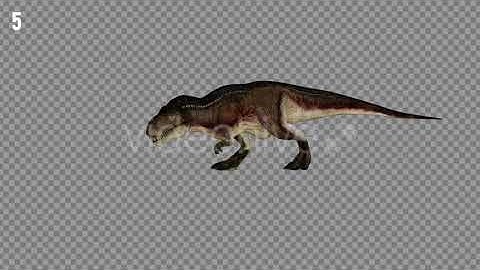 T-REX 7 Realistic Pack 6 | Motion Graphics - Envato elements