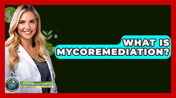 What Is Mycoremediation? - Earth Science Answers