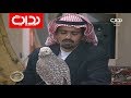 أنواع الصقور عبدالرحمن الشمري زد رصيدك87