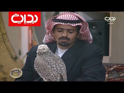 أنواع الصقور عبدالرحمن الشمري زد رصيدك87