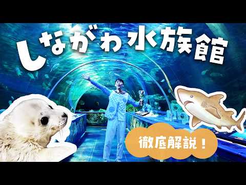 しながわ水族館