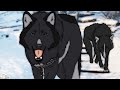 Ep 1 | Winter is coming | (animation wolves)