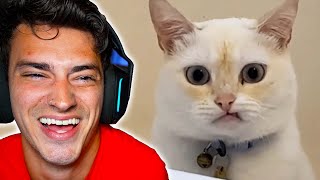 TRY NOT TO LAUGH 12!