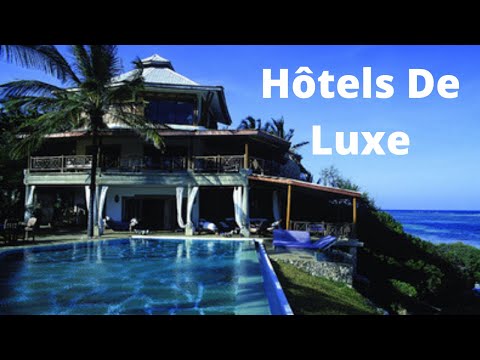 Vidéo: Hôtels De Luxe Avec Rencontres D'animaux En Floride, Bahamas, Guatemala, New York