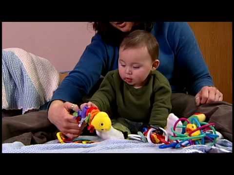 Approaches to Learning (Paying Attention) - Birth to 8 Months