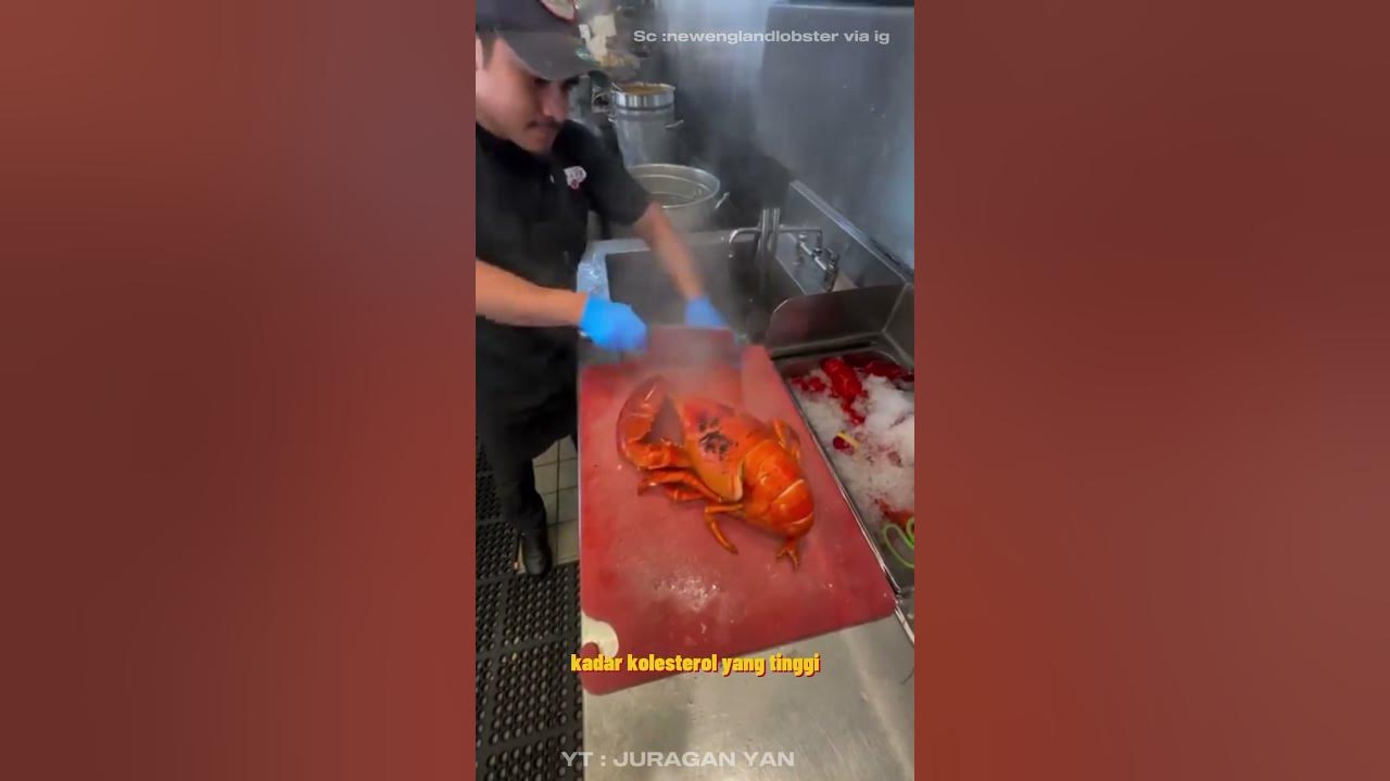 The Shocking Truth About Lobster & Heart Disease YouTube