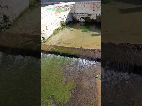 عين تامدة أروع العيون السياحية الجميلة بزاوية الشيخ والمغرب بامتياز للسفر والسياحة والرحلات شلالات 