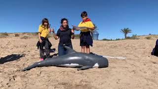 Visita al Cram del Prat