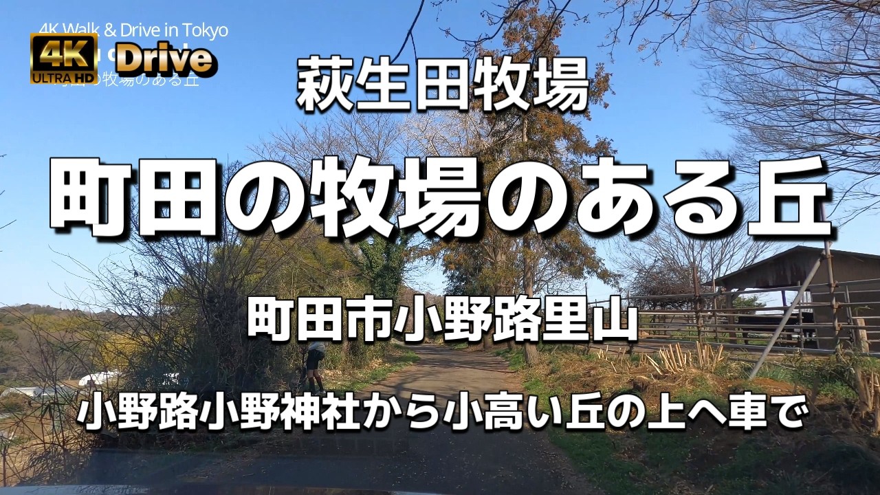 【ドライブ4K】【町田の牧場のある丘～萩生田牧場～町田市小野路里山～小野路小野神社から小高い丘の上へ車で】【帰り道～狭くて対向車が来て譲り合い】【カラスがあちこち】【町田日野線(都道156号)】