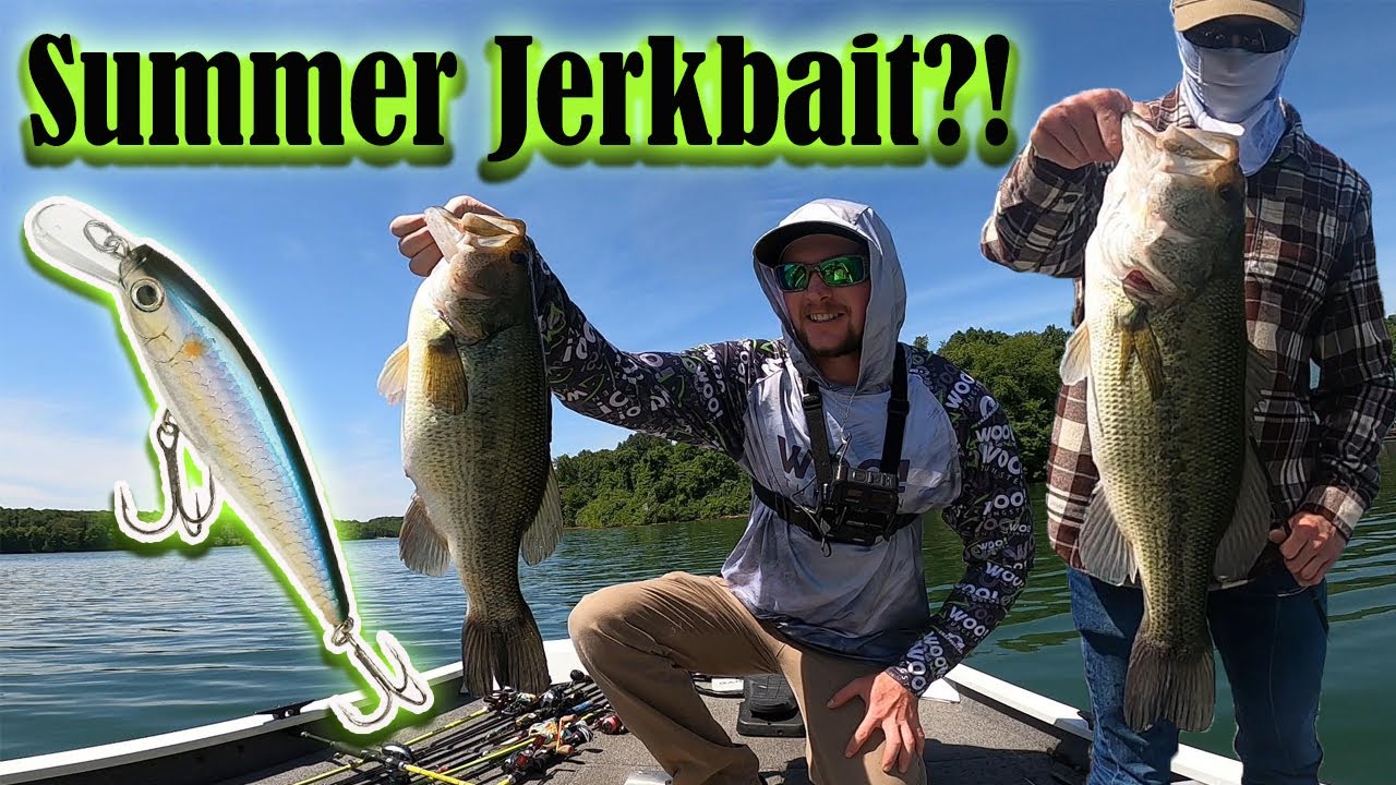 Summer jerkbait fishing for bass (BIG BASS CAUGHT)