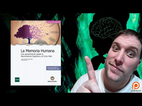Video: ¿En los procesos de memoria se refiere el efecto de primacía?
