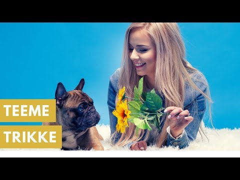 Video: Homemade pet lõhnapritsid