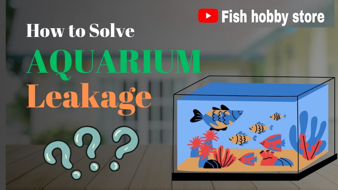 Prevent Aquarium Leaks: Water Cycling Tips   || Fish hobby Store || Aquarium ||