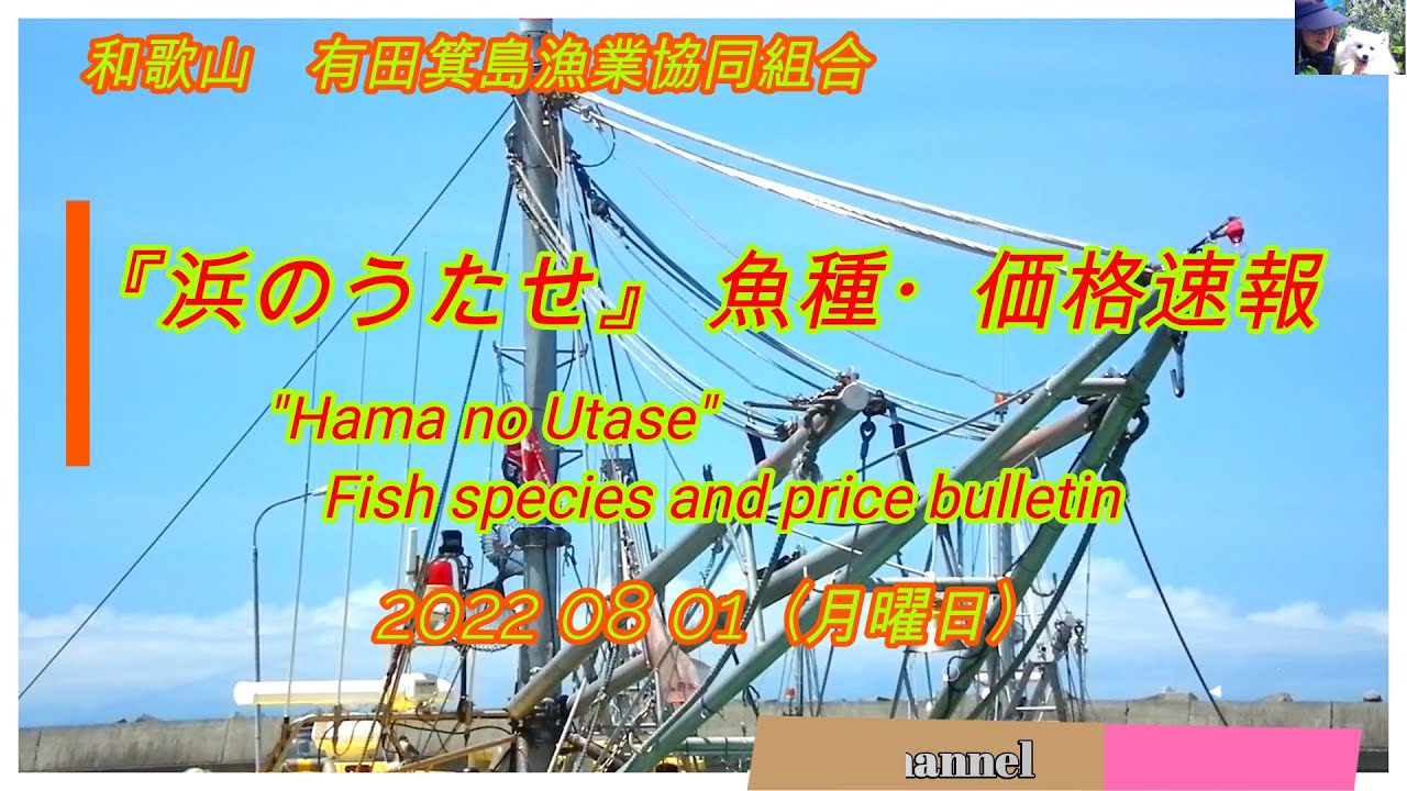 2022 08 10　有田箕島漁協直営　浜のうたせ　漁師さんの鮮魚価格　2022 08 01 (Fresh fish prices 01 August 2022)