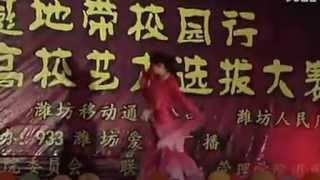 Tigerharbin - 惊鸿天下 甄嬛传惊鸿舞 高清版