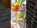 This cute little parrot just had the funniest reaction ever 😱🐦  I wasn’t expecting THIS at all#viral