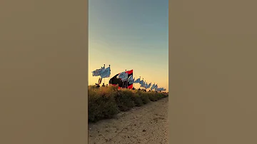 هـامـت الـروح ح ـبـ ا بـفـاطـمـة و أبـيـهـا و بـعـلـهـا و بـنـيـهـا الامام الحسين مشاية الاربعين 