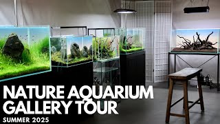 A Tour of My Nature Aquarium Gallery | Summer 2025 - YouTube