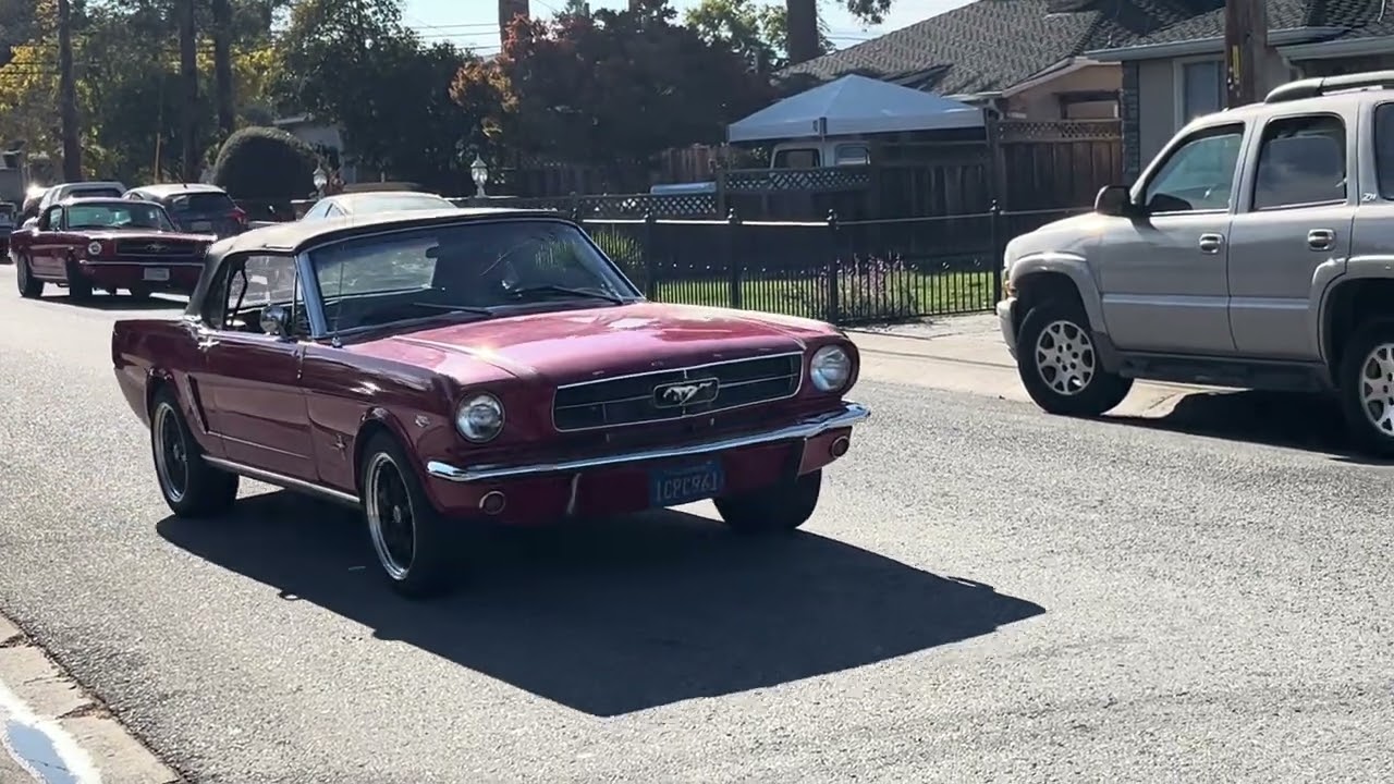 65 mustang fast back and drop top
