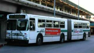 Alameda Contra Costa Transit 1900 Series 1996 New Flyer D60HF