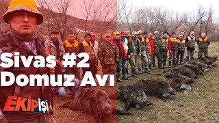 Sivas Domuz Avı 2 ( Büyük Sürünün Peşinde )  Ekip İşi 2.Bölüm Yaban Tv Wild Boar Hunting