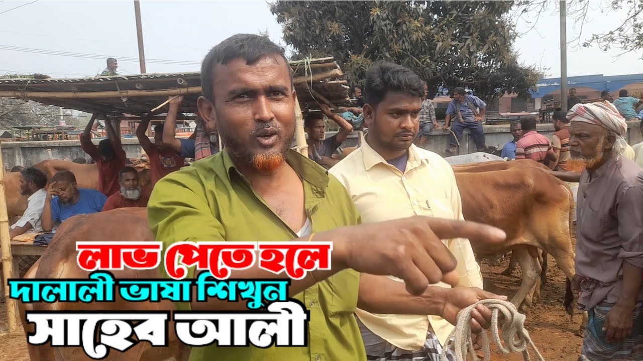 March 8, 2026 || নীলফামারী হাটে কোরবানী টার্গেটের গরু কিনতে এসে একি বলছেন সাহেব আলী?