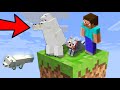 POLAR BEAR ATTACK'S MY FOX!! in Minecraft One block