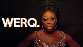 Bob the Drag Queen says "werq" in every situation