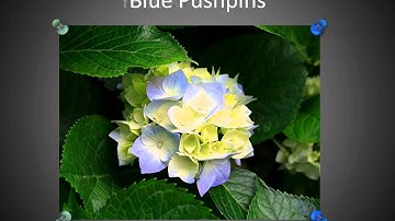 Handmade Slides: Pushpins for PowerPoint - 03